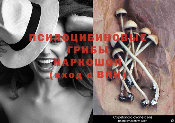 a pvp Елабуга
