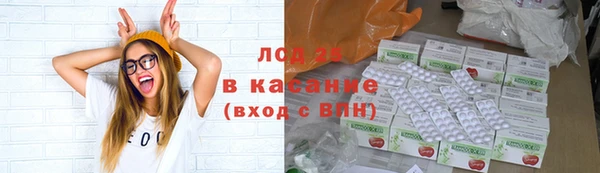 бошки Дмитров
