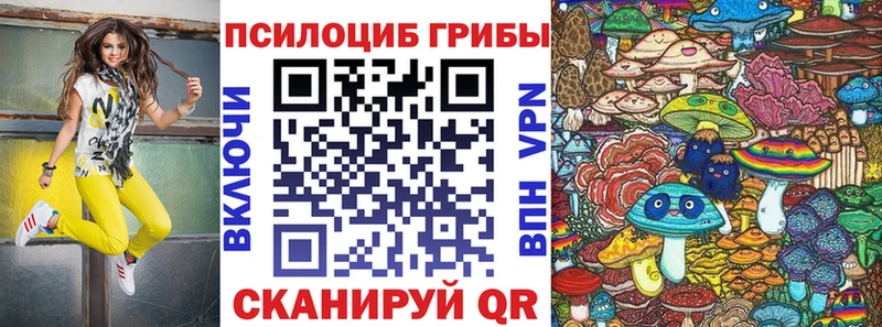 Купить закладки  Зеленодольск  Галлюциногенные грибы Psilocybine cubensis 